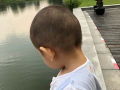 -上海佘山世茂艾美酒店