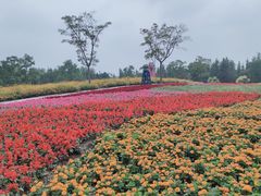 -同里国家湿地公园