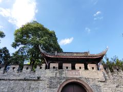 -桂湖森林公园