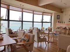 -柴犬小屋·柴餐厅·狗咖食堂(金鼎广场店)