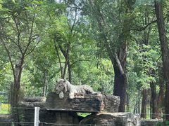 -秦皇岛野生动物园