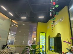 -洗脸猫·洗脸吧(北京大兴大悦春风里店)