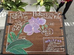 -上海鲜花港