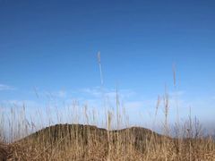 -东白山