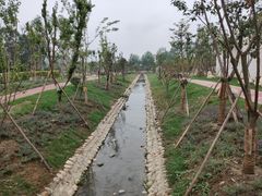 -白鹭湾湿地公园