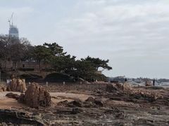 -青岛第二海水浴场