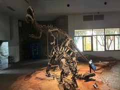 -自贡恐龙博物馆