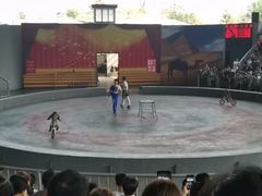 -辛玛王国游乐园