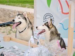 -欢乐海岸椰林沙滩-2025湾区超级灯会