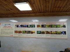 -人和水上飘(第一家店)