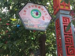 -御林古桑园