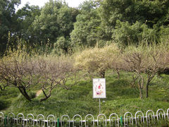 -赭山公园