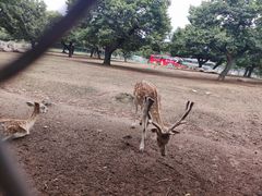 -西安秦岭野生动物园