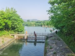 -佛手湖郊野公园