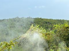 -天目湖御水温泉·度假酒店