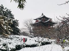 -西安青龙寺遗址景区