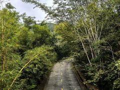 -呀诺达热带雨林