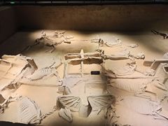 -洛阳周王城天子驾六博物馆