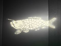 -白鹤梁水下博物馆