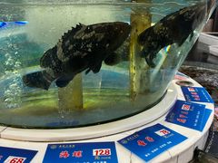 -益利大酒楼(井岸店)