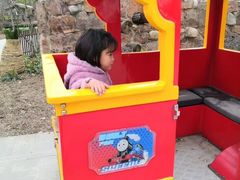 -合肥滨湖国家森林公园