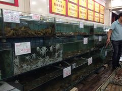 iphone_upload_pic-海岛渔村大酒店(云霄路店)
