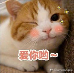 -谜秀韩式半永久纹眉纹绣洗眉