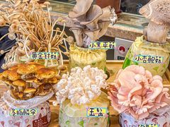-烹然四季椰子鸡火锅(团结湖总店)