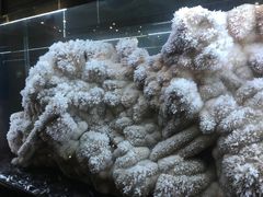 -湖南省地质博物馆