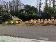 -上海长兴岛郊野公园