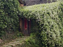 -杨家堂村