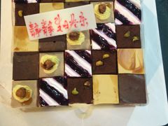 -维尔纳斯·生日蛋糕动物奶油冰淇淋蛋糕(人大店)