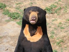 -石家庄市动物园