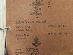 -青山上品咖啡·日式法兰绒手冲(高岛屋百货店)