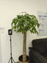 -丰联丽格医疗美容·联合丽格眼整形中心