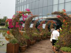 -南通洲际绿博园