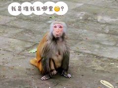 -千岛湖东南湖区
