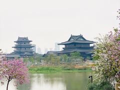 -海珠湖公园