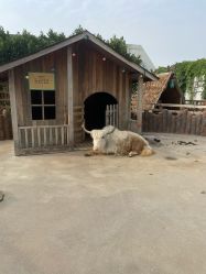 -造物庄园 萌宠纪(苏州湾歌林公园店)