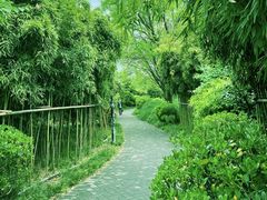 -唐城墙遗址公园