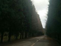 -山王坪喀斯特国家生态公园