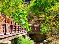 -北京西山国家森林公园