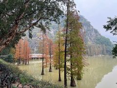 -星湖旅游景区七星岩