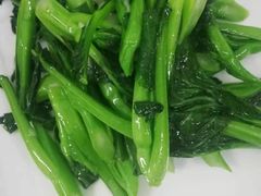 -锦粤宫·精致粤菜(深圳北站店)