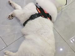 -中国体育彩票(竞彩店)