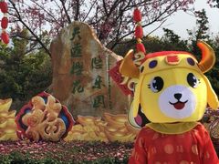 -天适樱花悠乐园