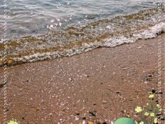 -兴城海滨风景区