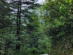 -苍山感通索道