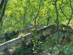 -青龙山国家森林公园