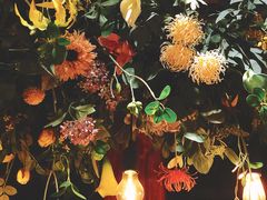 -IFIF 如果花園(宽厚里店)